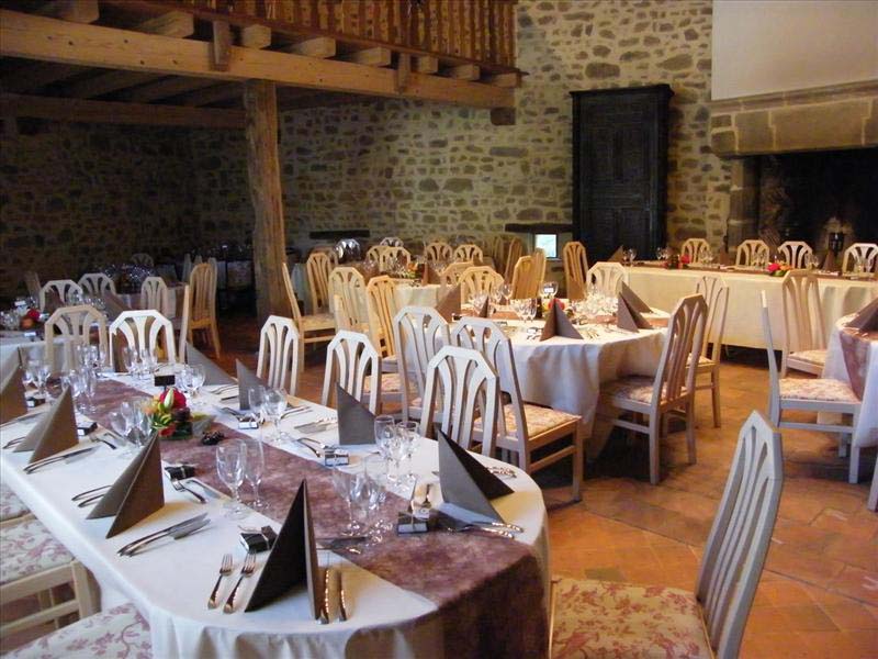Château des Martinanches_63520 SAINT DIER_19